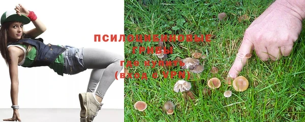 гашиш Магас