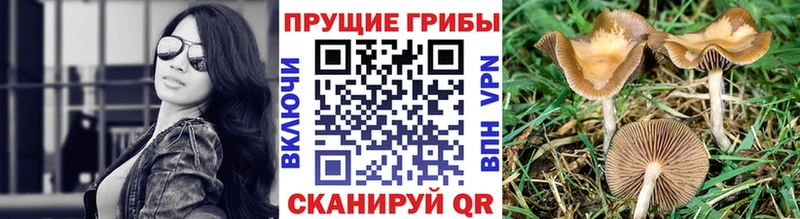 Галлюциногенные грибы ЛСД  купить наркотик  даркнет Telegram  Рассказово 